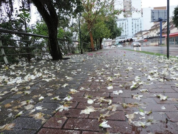 Tempo chuvoso em Blumenau - foto de Jaime Batista