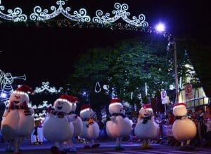 Magia de Natal encanta turistas anualmente em Blumenau