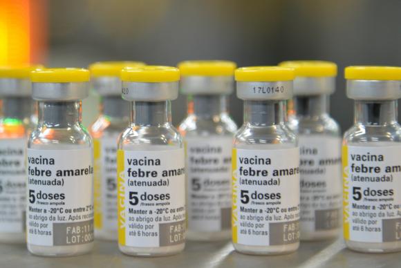 Vacina contra a febre amarel (Rovena Rosa/Agência Brasil)