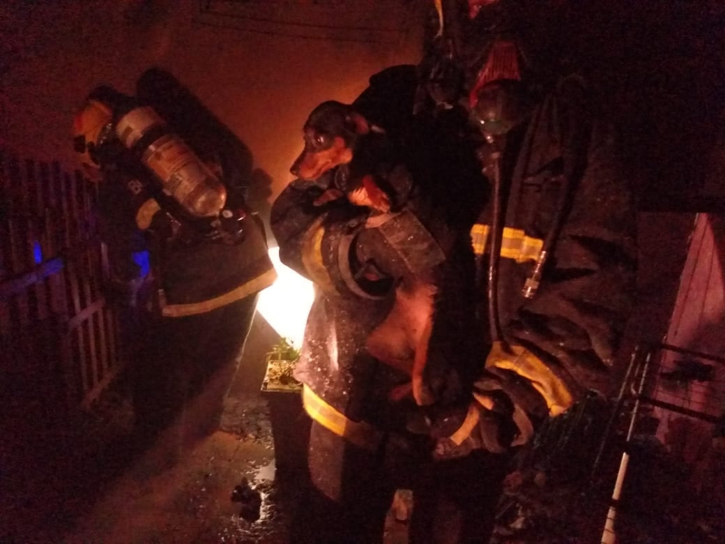 Bombeiros controlam incêndio em residência na Velha Central - foto do Corpo de Bombeiros