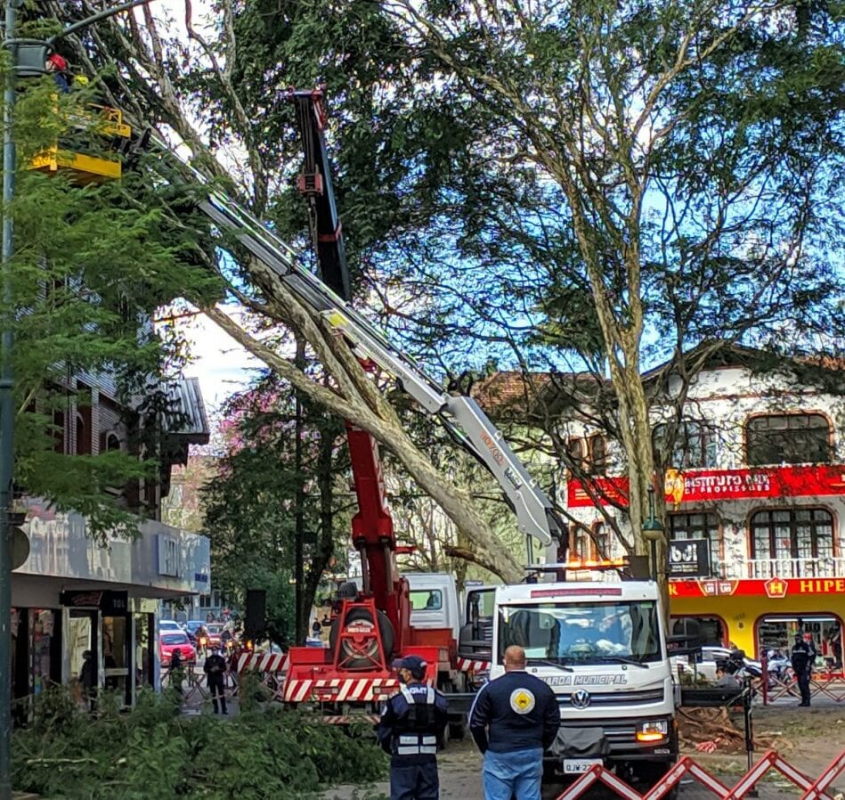 Remoção de árvore na Rua XV de Novembro - foto de Túlio Marcelo Ramos