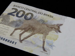 Nova nota de R$ 200 com a imagem do lobo-guará - foto de Raphael Ribeiro/BCB