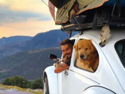 Viajante Jesse e o cão Shurastey