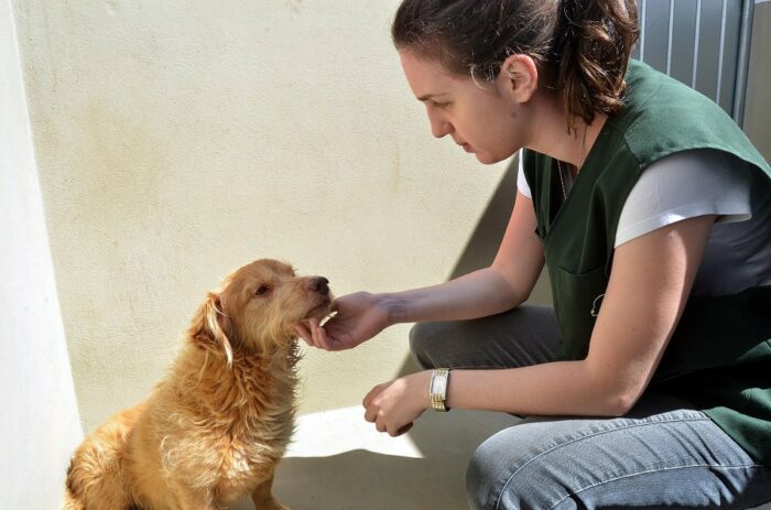 Servidora do Cepread com cão - foto de Eraldo Schnaider