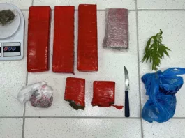 Drogas e materiais apreendidos no Salto do Norte - foto da Polícia Civil