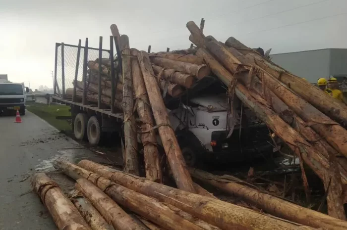 Toras esmagam cabine de caminhão em Navegantes - foto do BVN